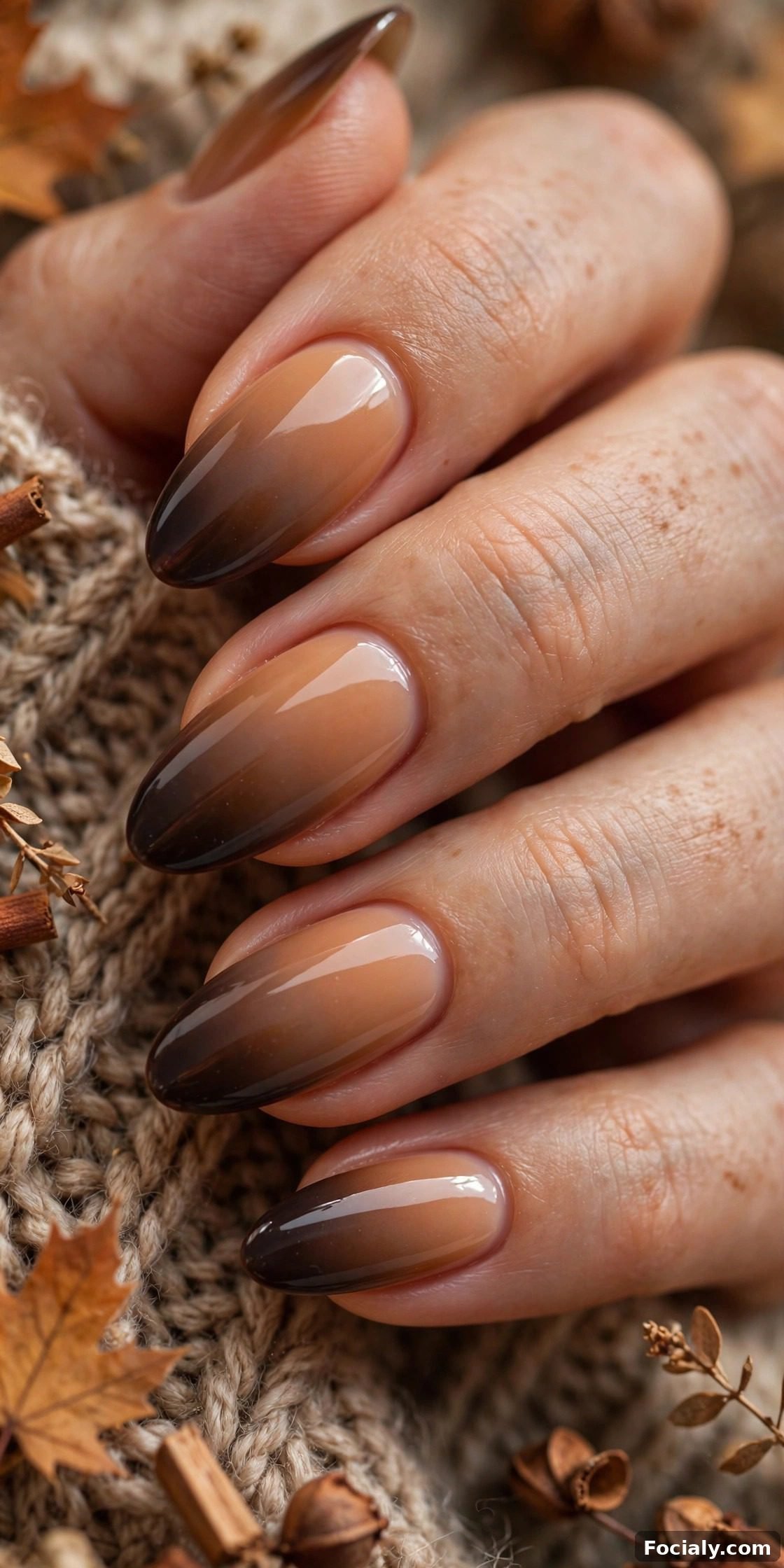 Caramel to espresso ombre gradient nails