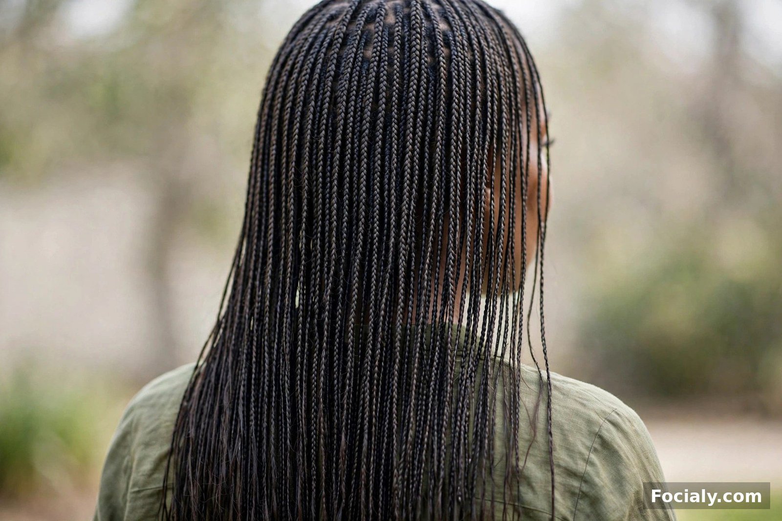 Fine micro braids flowing long and straight on natural hair, back view